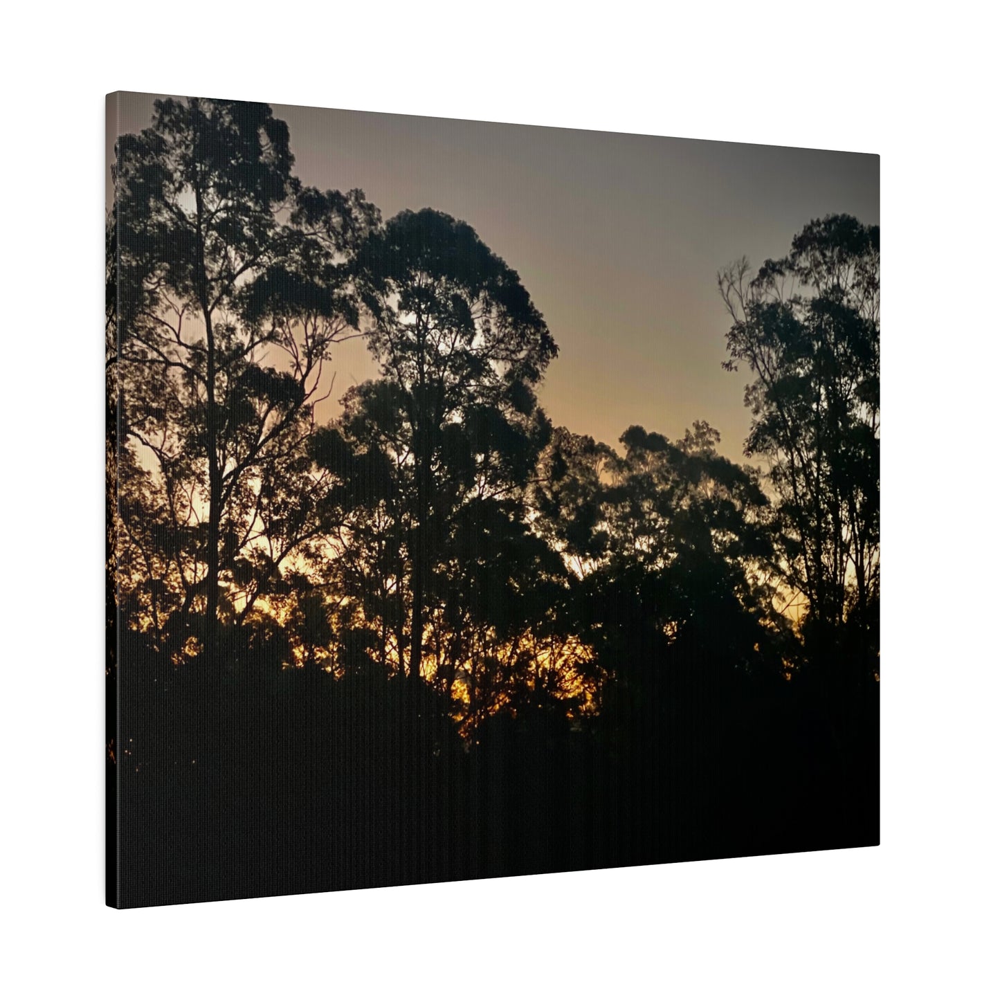 Mist Dusk Prints on Canvas, Stretched, 0.75"