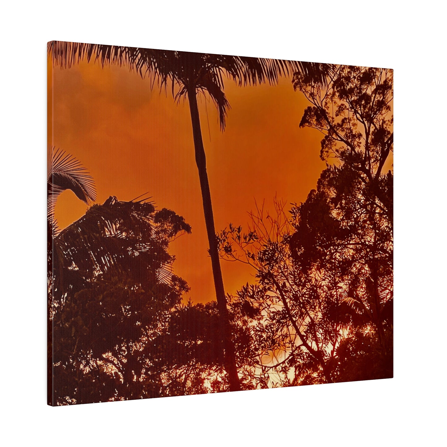 Prints on Canvas Fired Sky