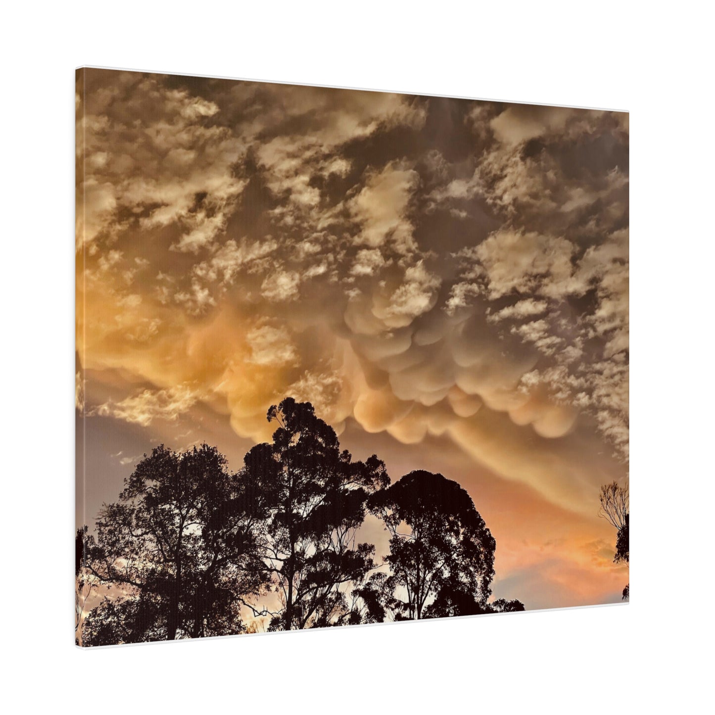 Prints on Canvas Bubble Clouds