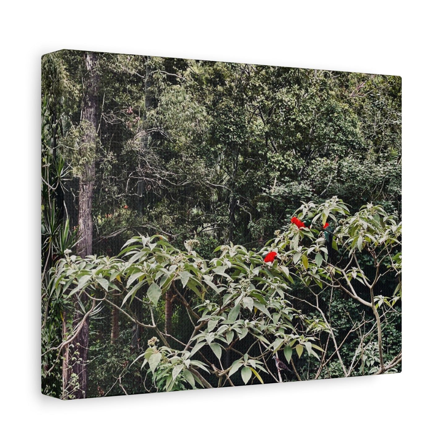 Forest Birds Mountains Prints on Canvas