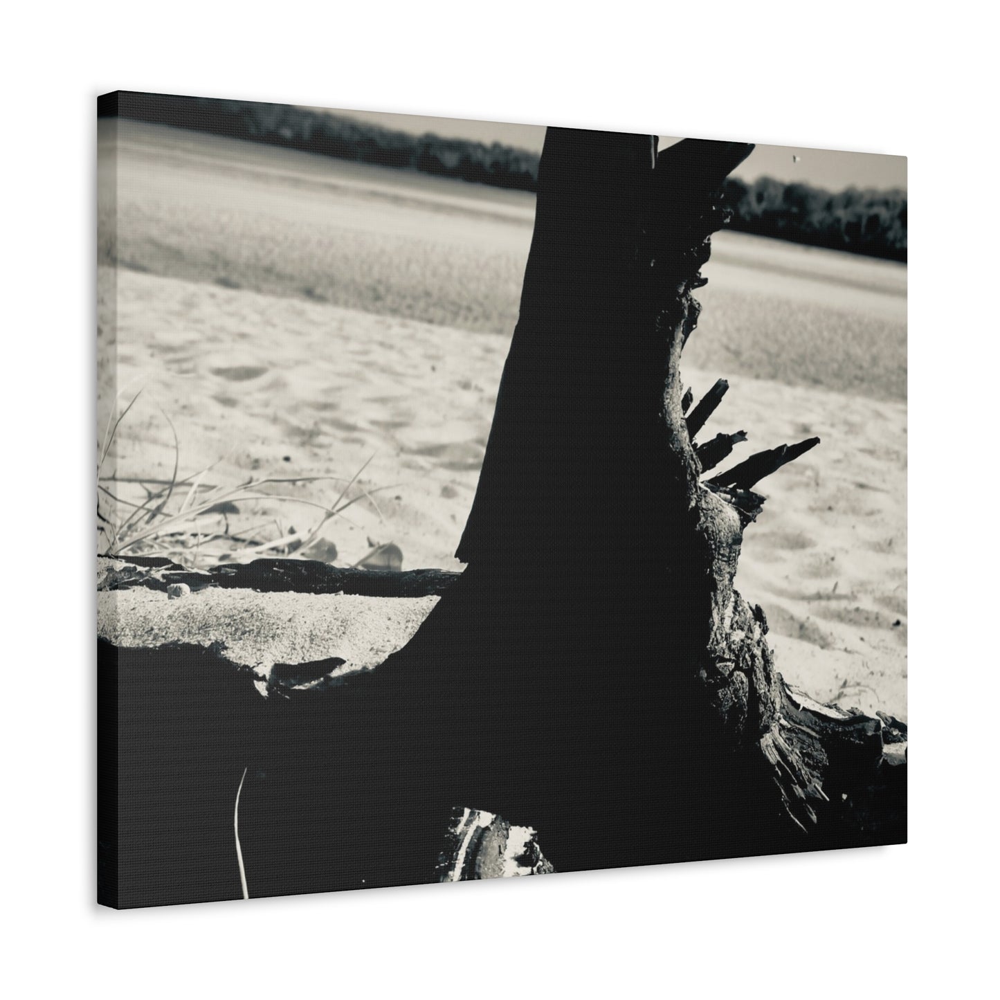 Beach Log Print on Canvas on Stretched Canvas