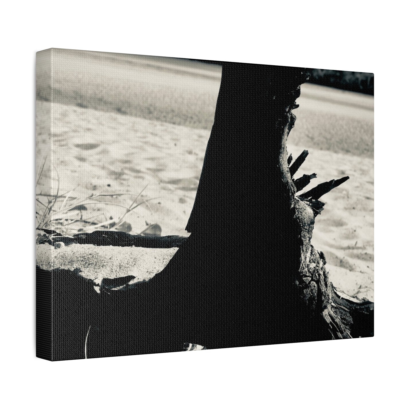 Beach Log Print on Canvas on Stretched Canvas