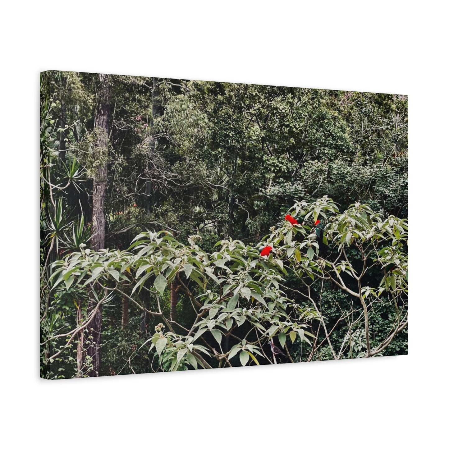 Forest Birds Mountains Prints on Canvas