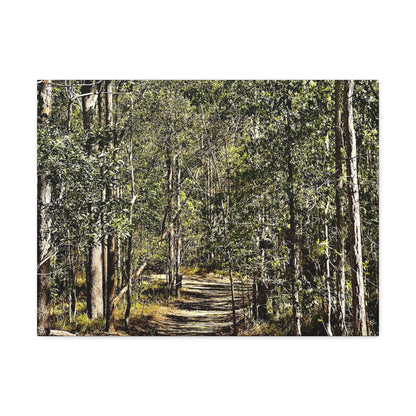 Forest Walk Print on Canvas on Stretched Canvas
