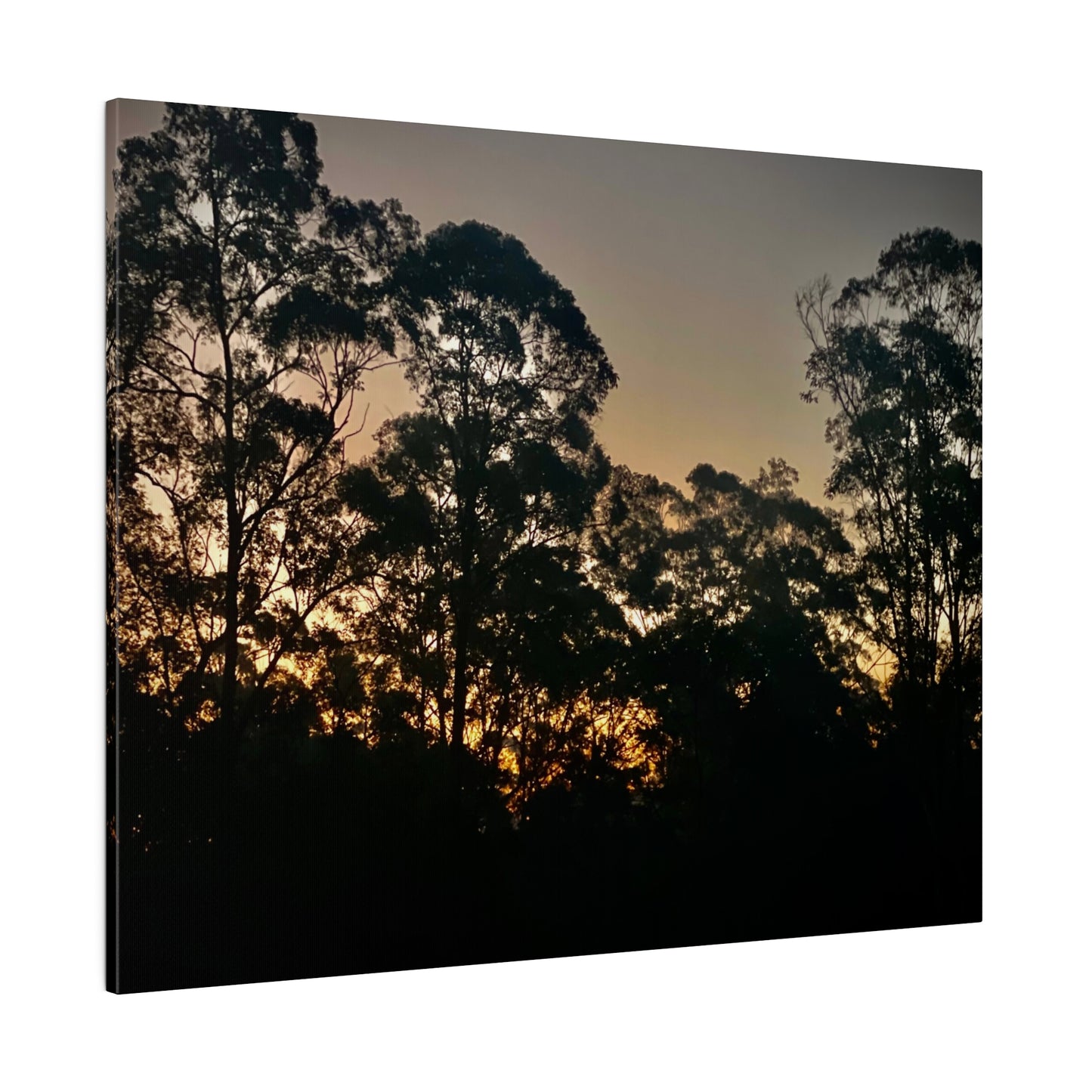 Mist Dusk Prints on Canvas, Stretched, 0.75"