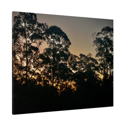 Mist Dusk Prints on Canvas, Stretched, 0.75"