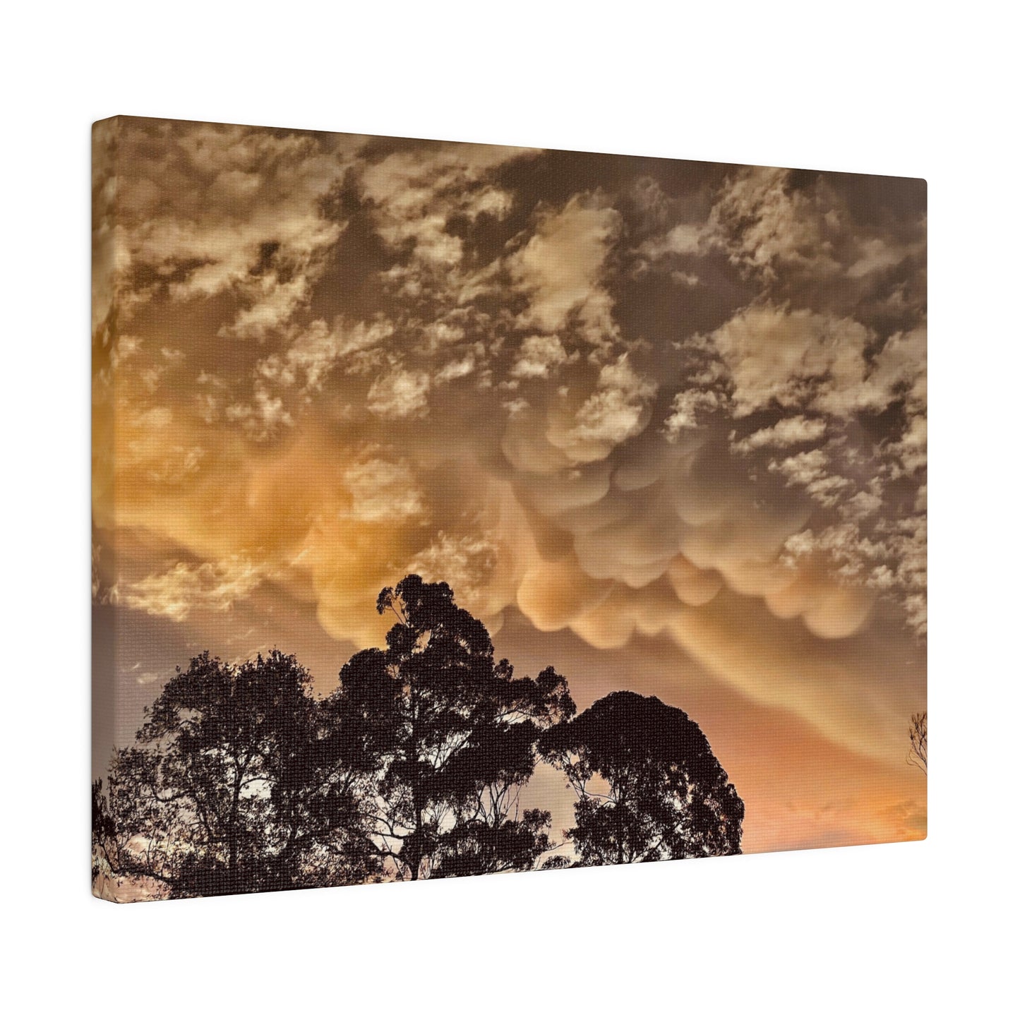 Prints on Canvas Bubble Clouds