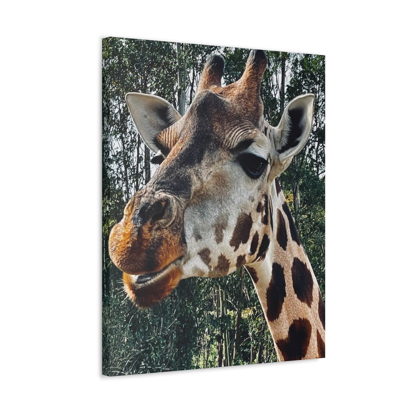 Giraffe Print on Canvas on Stretched Canvas