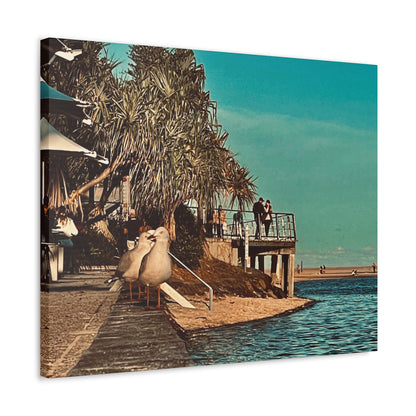 Serious Seagull Print on Canvas on Stretched Canvas