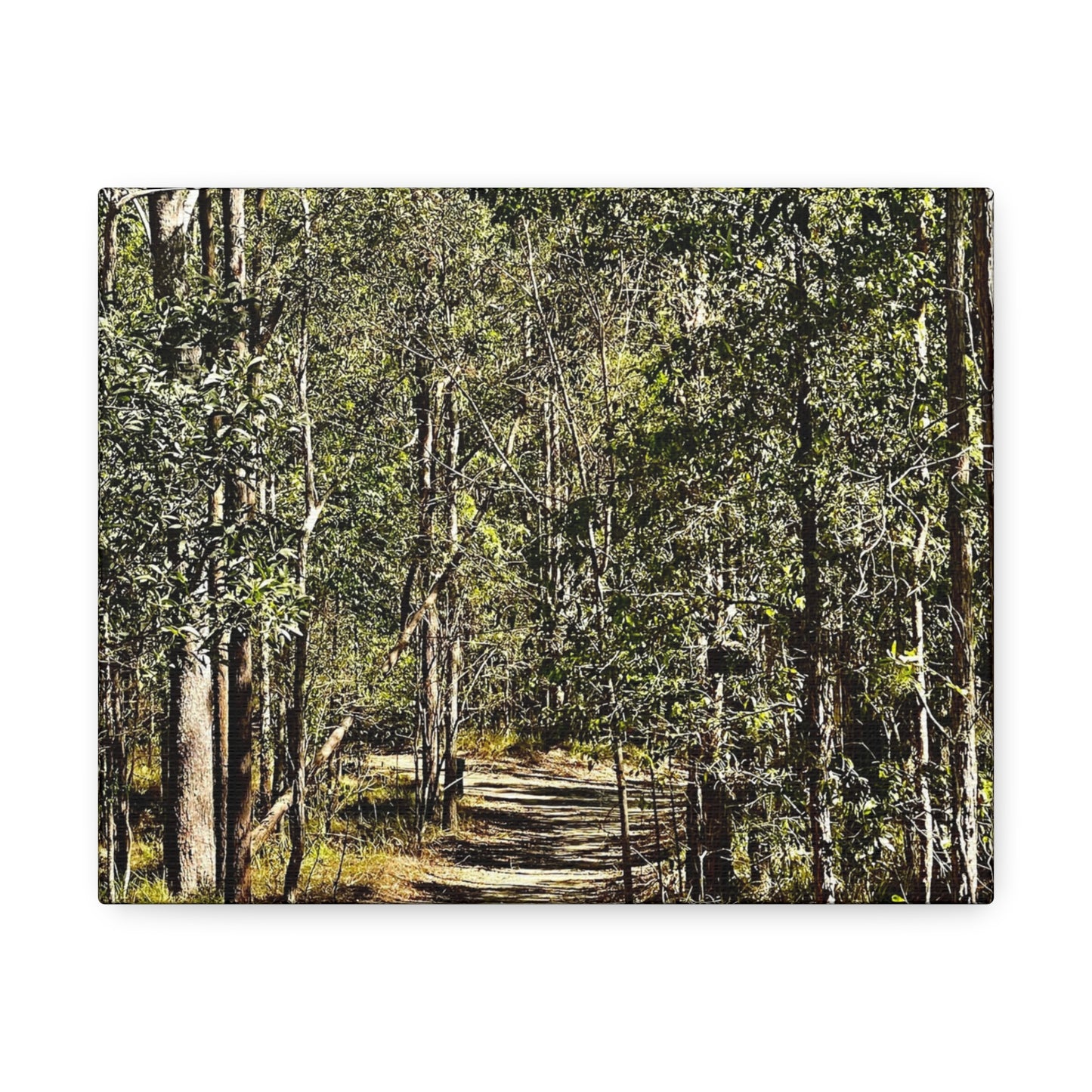 Forest Walk Print on Canvas on Stretched Canvas