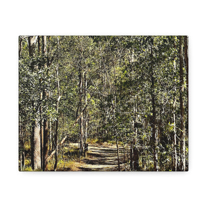 Forest Walk Print on Canvas on Stretched Canvas
