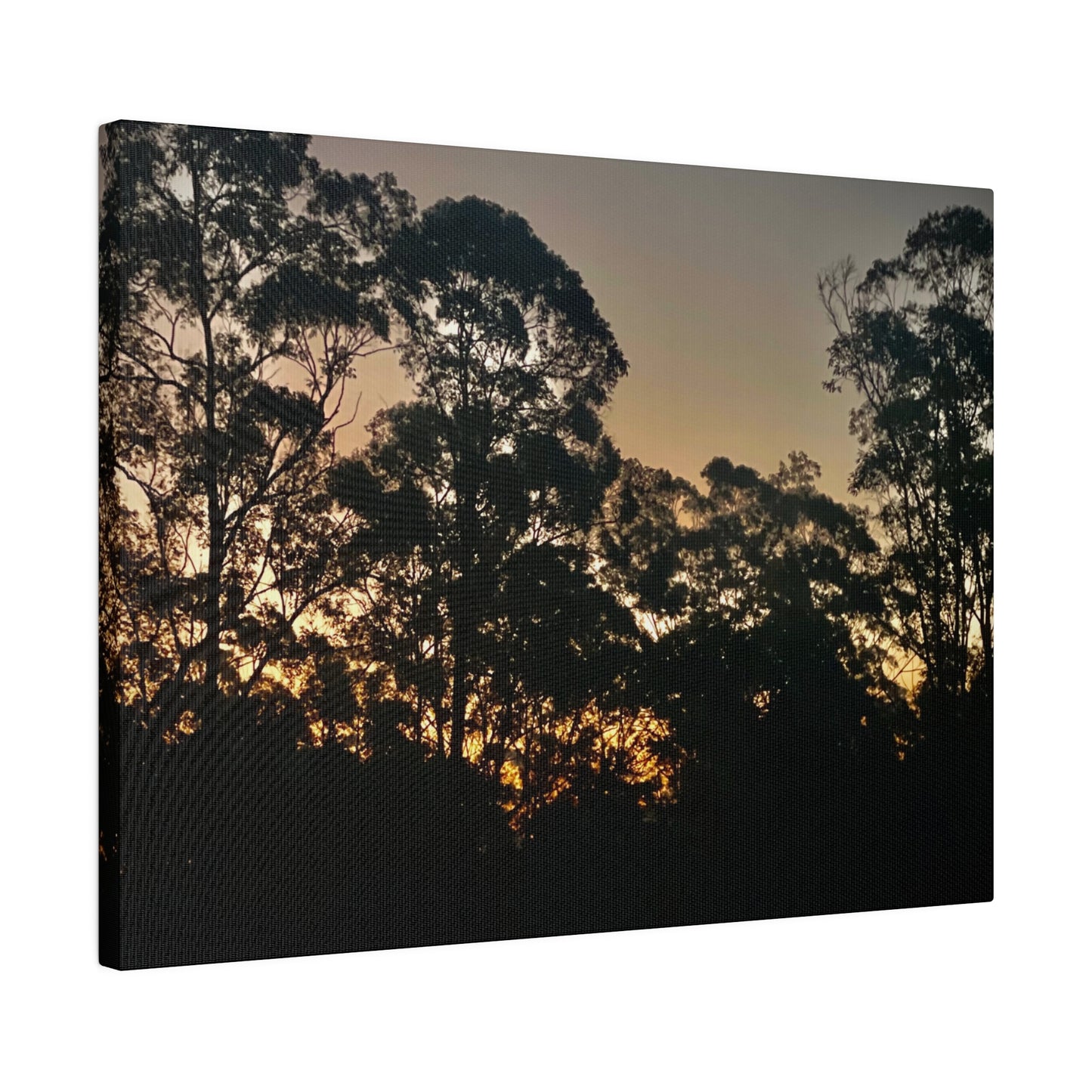 Mist Dusk Prints on Canvas, Stretched, 0.75"