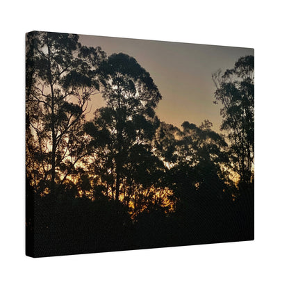Mist Dusk Prints on Canvas, Stretched, 0.75"