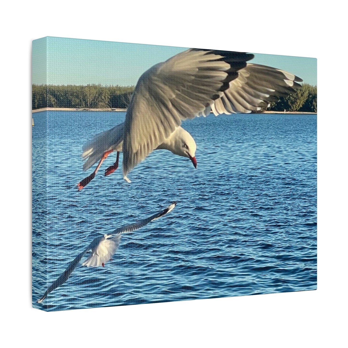 In Flight Print on Canvas on Stretched Canvas
