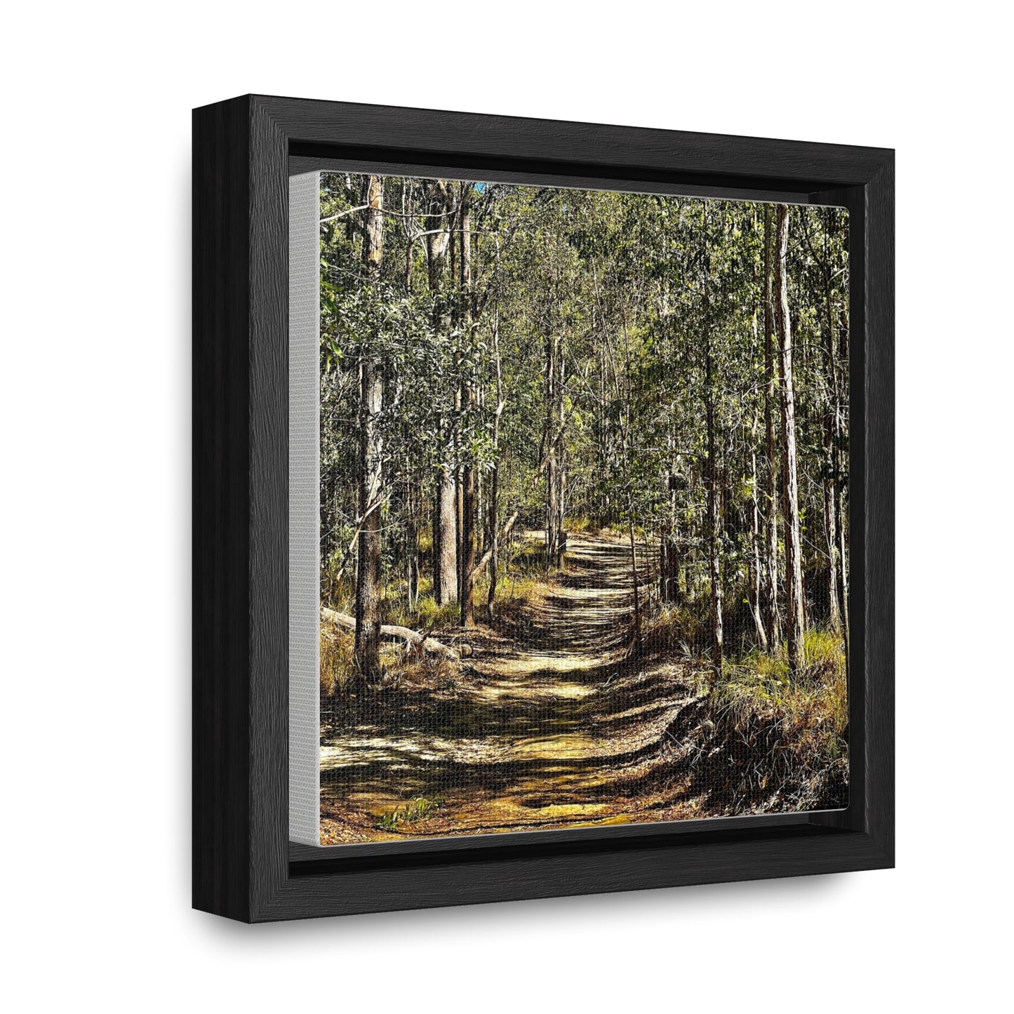 Forest Walk Prints on Canvas, Square Frame