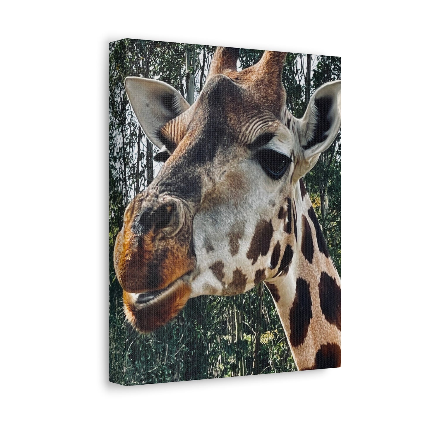 Giraffe Print on Canvas on Stretched Canvas