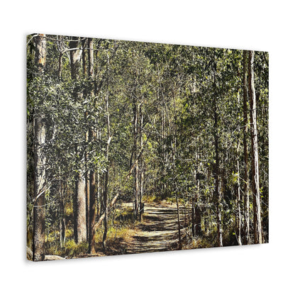 Forest Walk Print on Canvas on Stretched Canvas