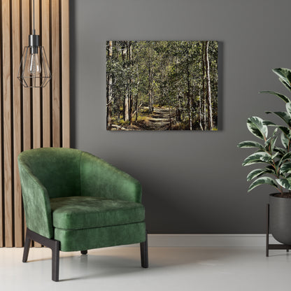 Forest Walk Print on Canvas on Stretched Canvas