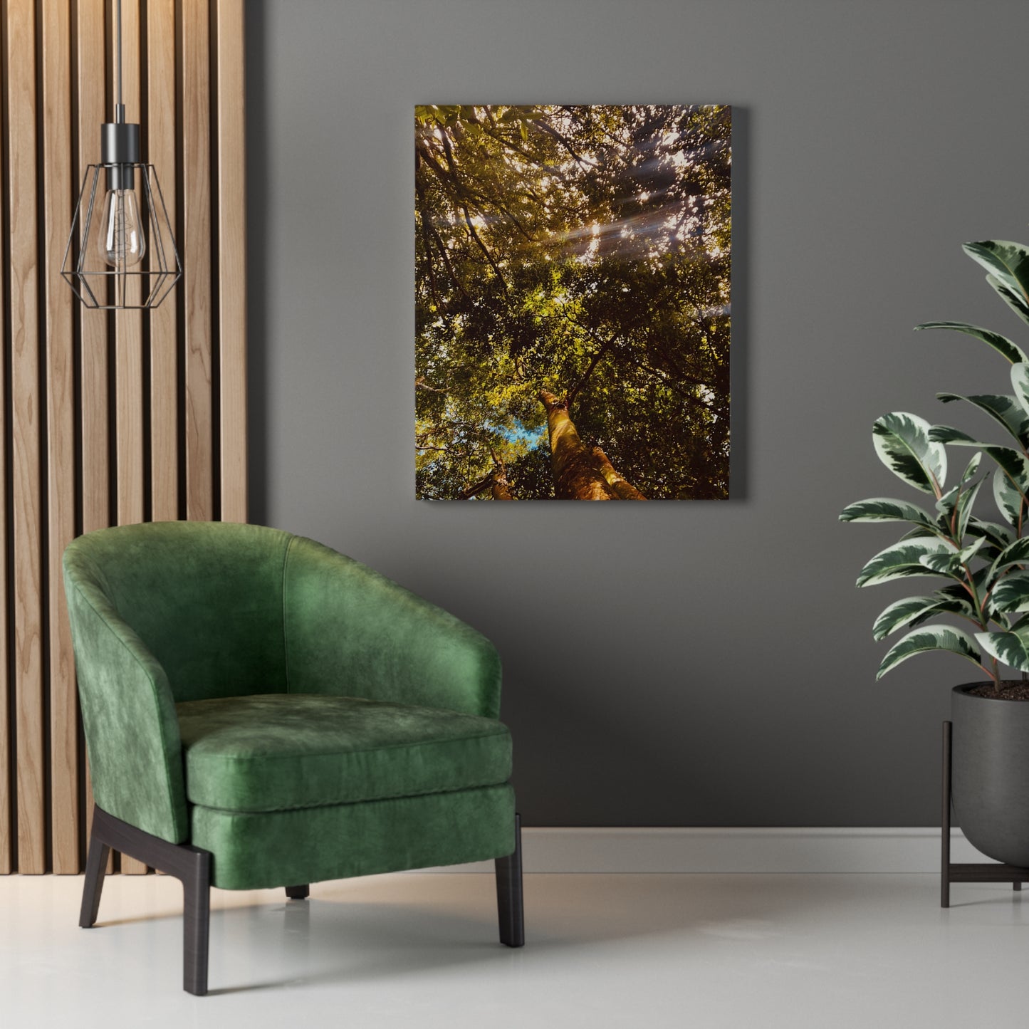 Sunlight Canopy Print on Canvas on Stretched Canvas
