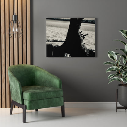 Beach Log Print on Canvas on Stretched Canvas