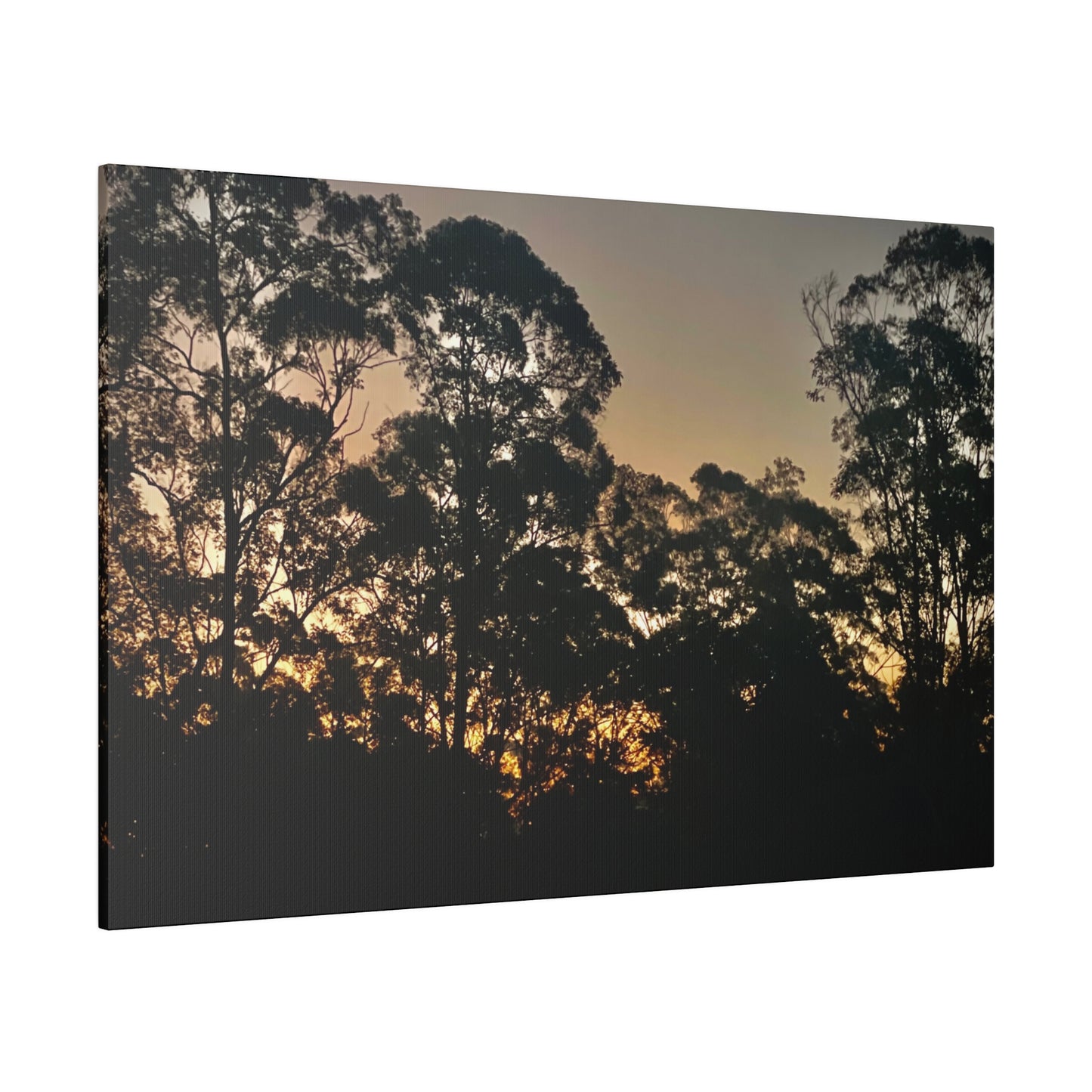 Mist Dusk Prints on Canvas, Stretched, 0.75"