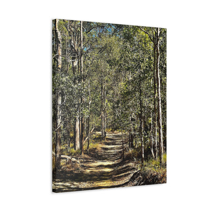 Forest Walk Print on Canvas on Stretched Canvas