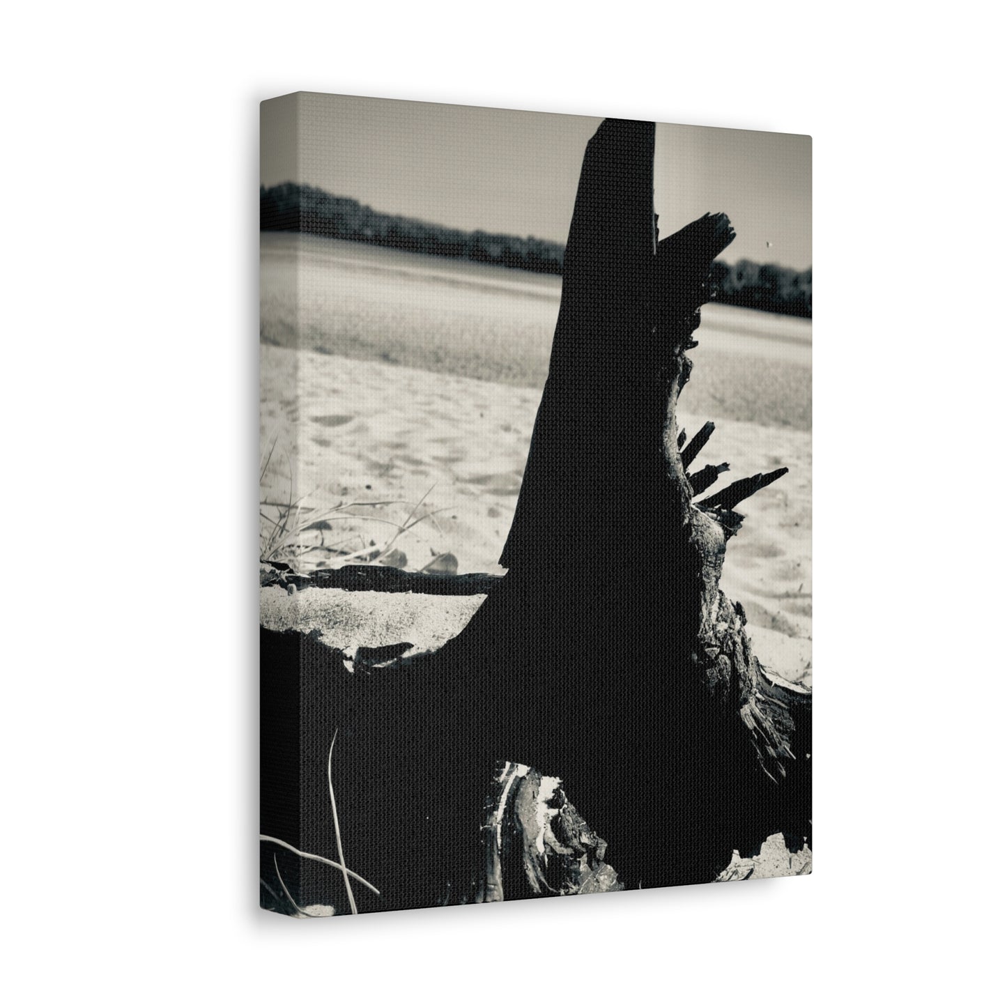 Beach Log Print on Canvas on Stretched Canvas