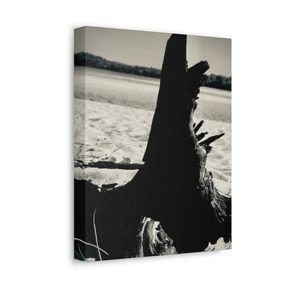 Beach Log Print on Canvas on Stretched Canvas