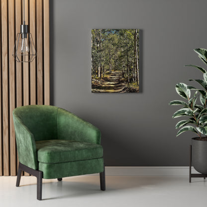 Forest Walk Print on Canvas on Stretched Canvas