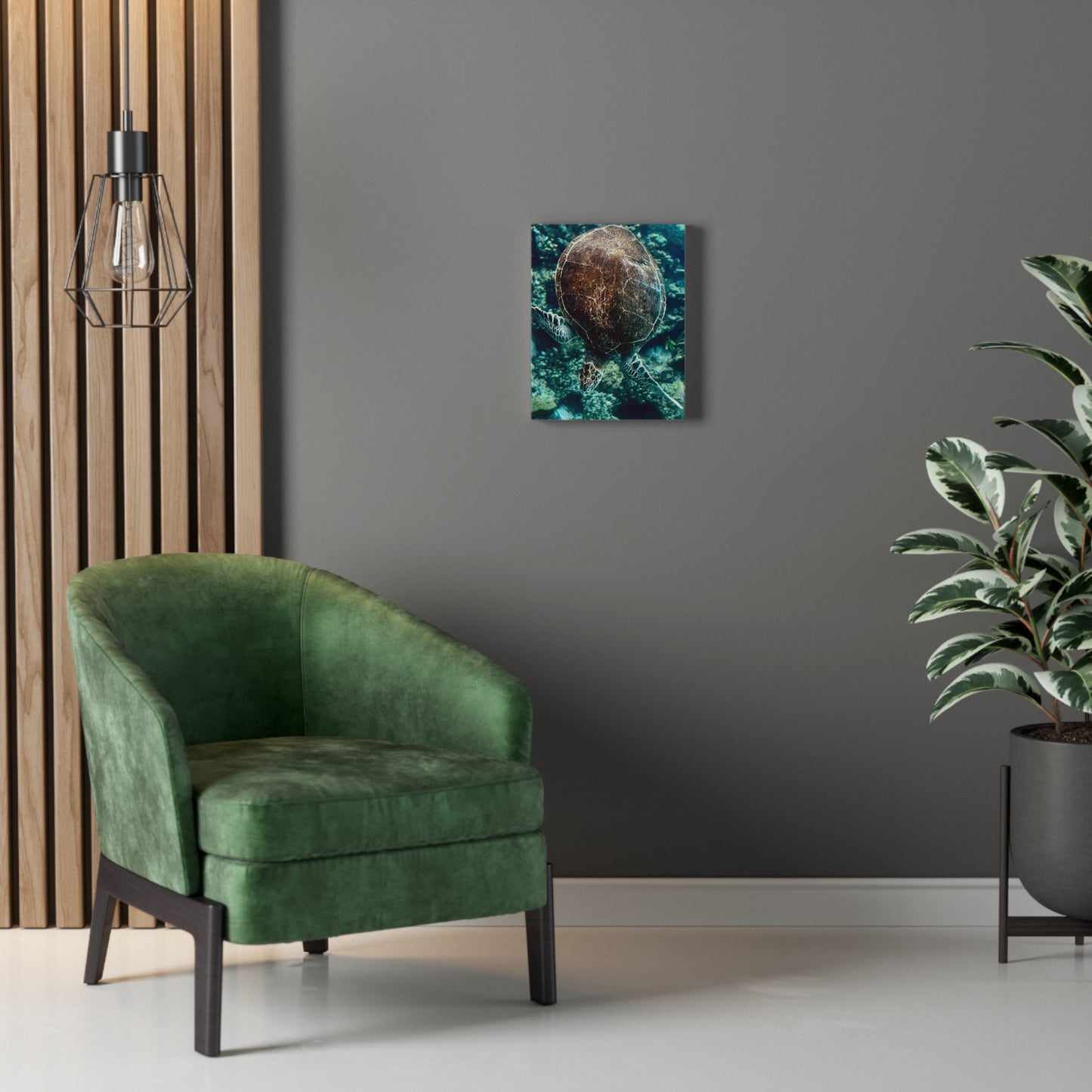 Turtle Print on Canvas on Stretched Canvas