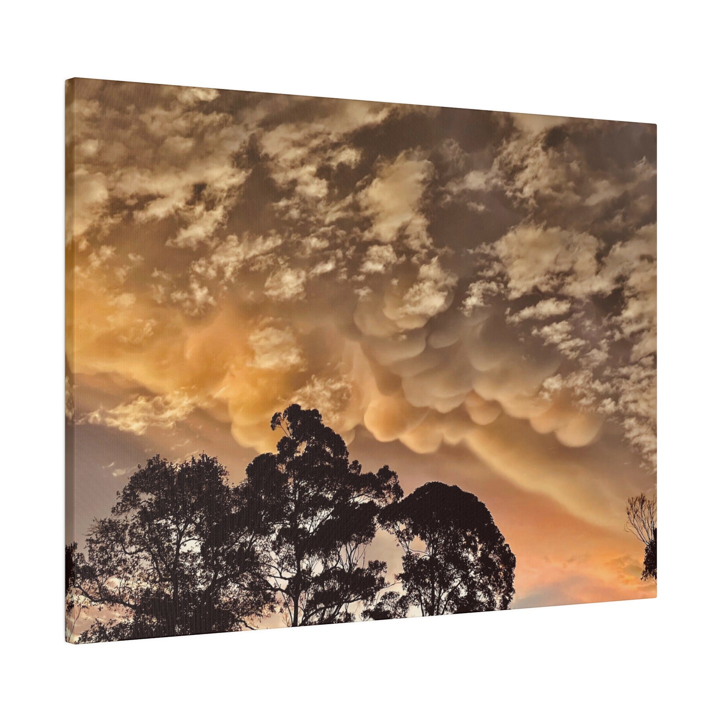 Prints on Canvas Bubble Clouds