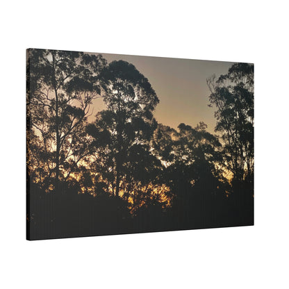 Mist Dusk Prints on Canvas, Stretched, 0.75"