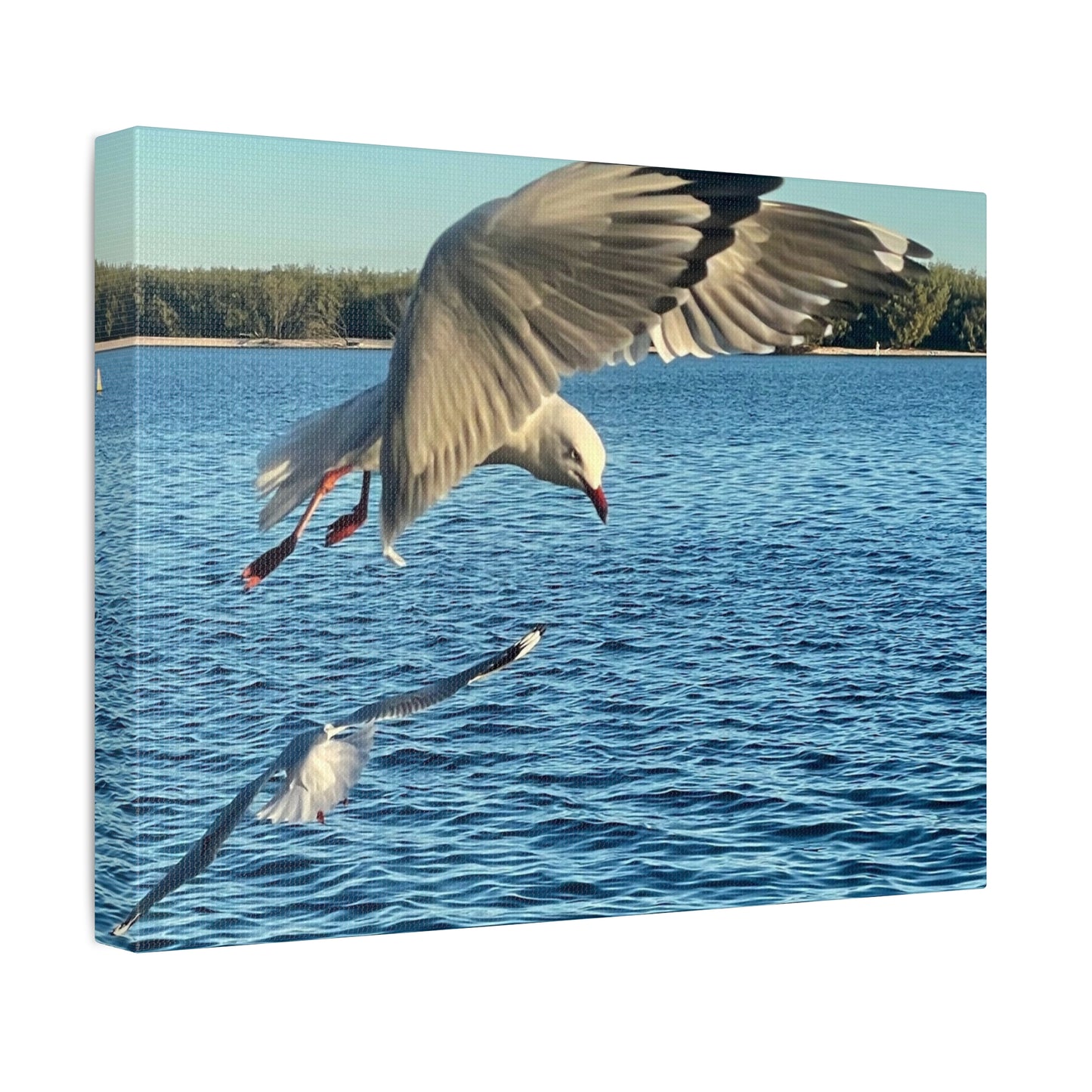 In Flight Print on Canvas on Stretched Canvas
