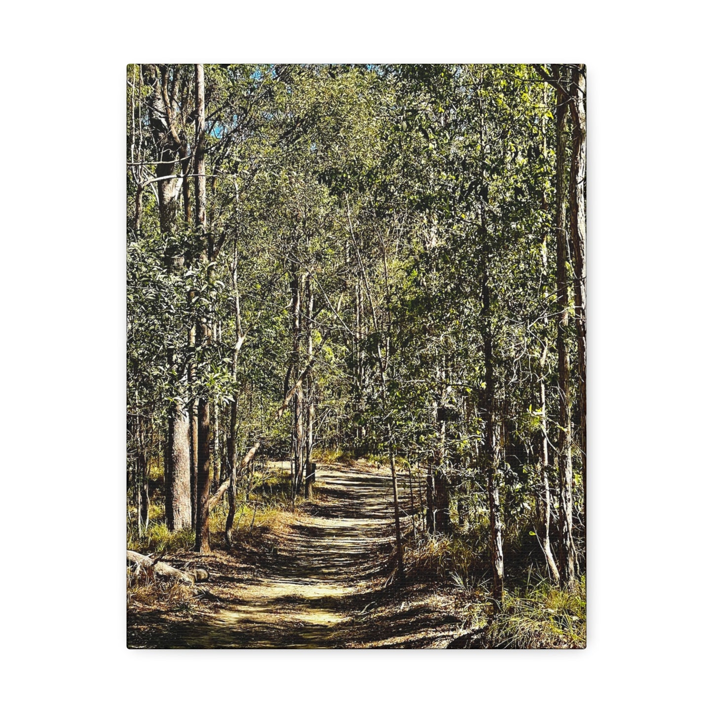 Forest Walk Print on Canvas on Stretched Canvas