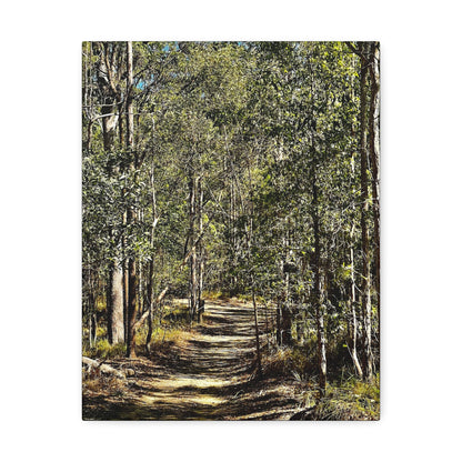 Forest Walk Print on Canvas on Stretched Canvas