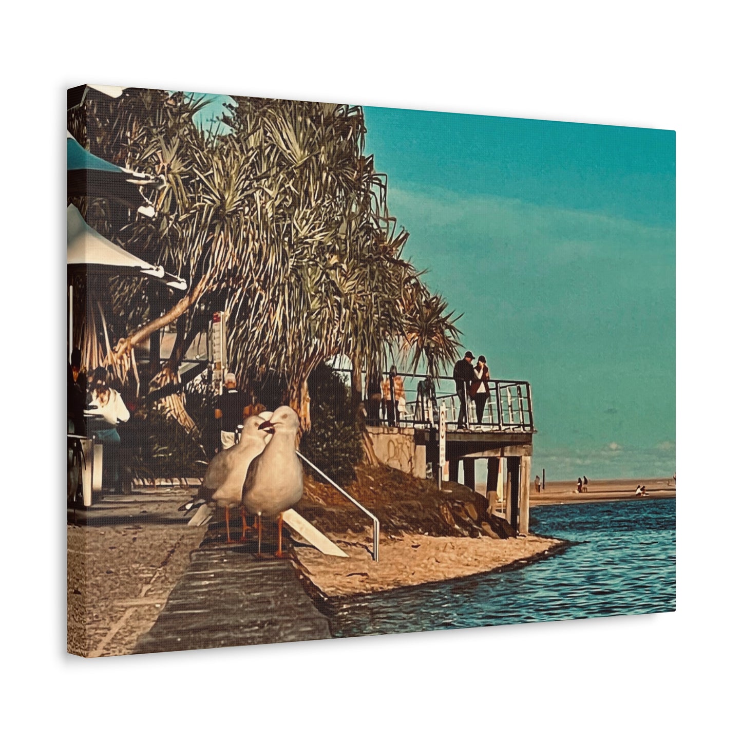 Serious Seagull Print on Canvas on Stretched Canvas