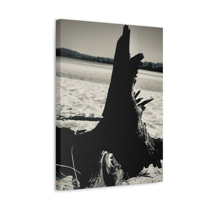 Beach Log Print on Canvas on Stretched Canvas