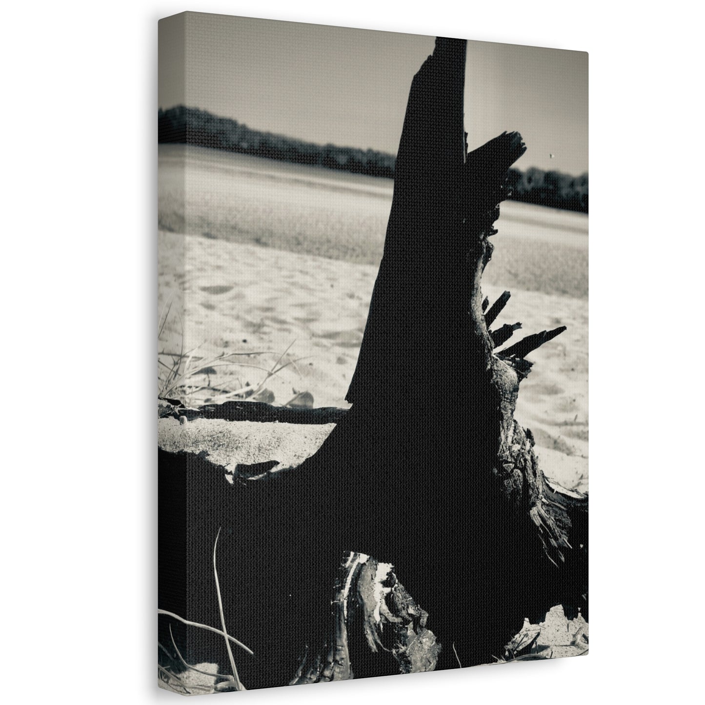 Beach Log Print on Canvas on Stretched Canvas