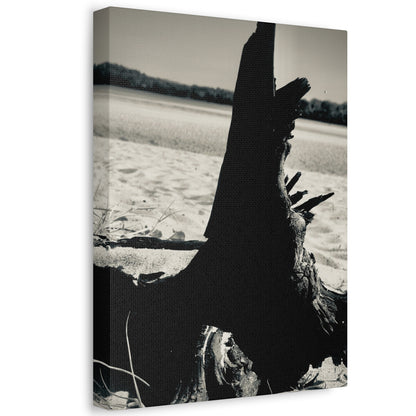 Beach Log Print on Canvas on Stretched Canvas