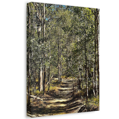 Forest Walk Print on Canvas on Stretched Canvas