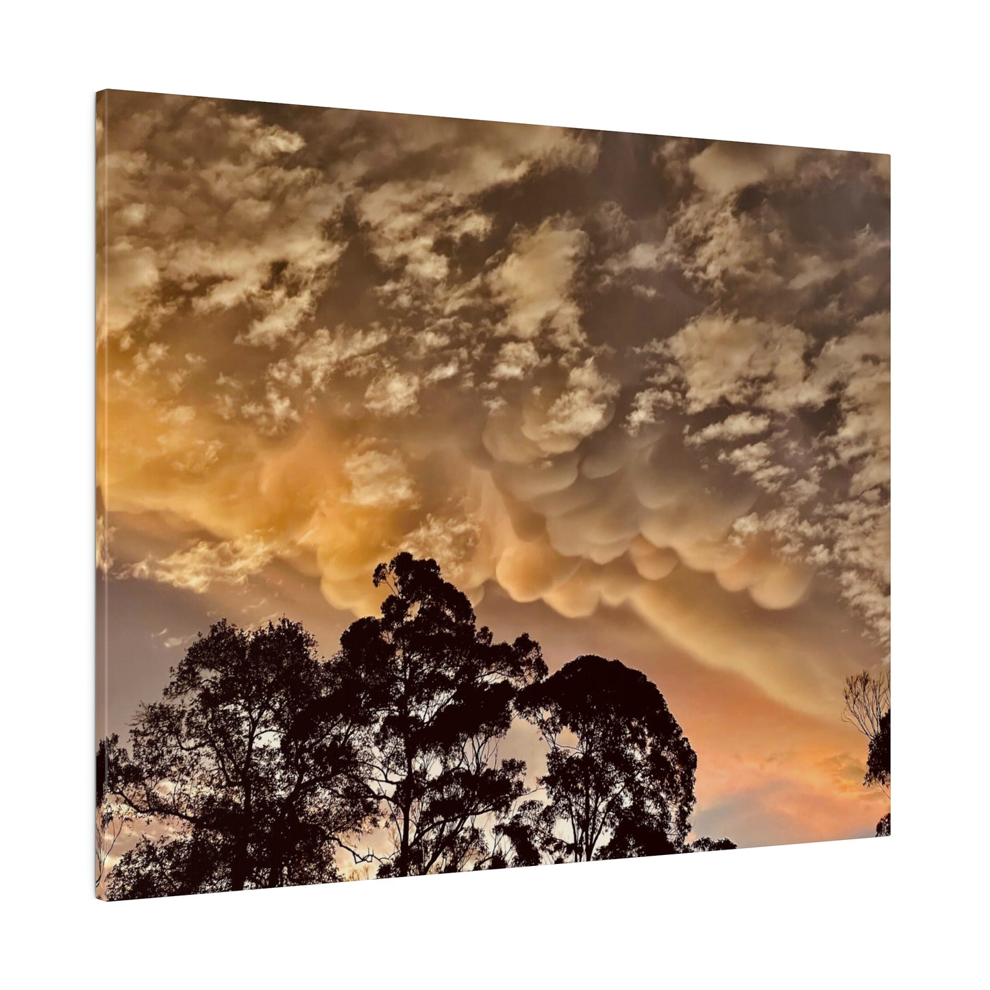 Prints on Canvas Bubble Clouds