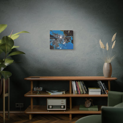 Sky Canopy Prints on Canvas