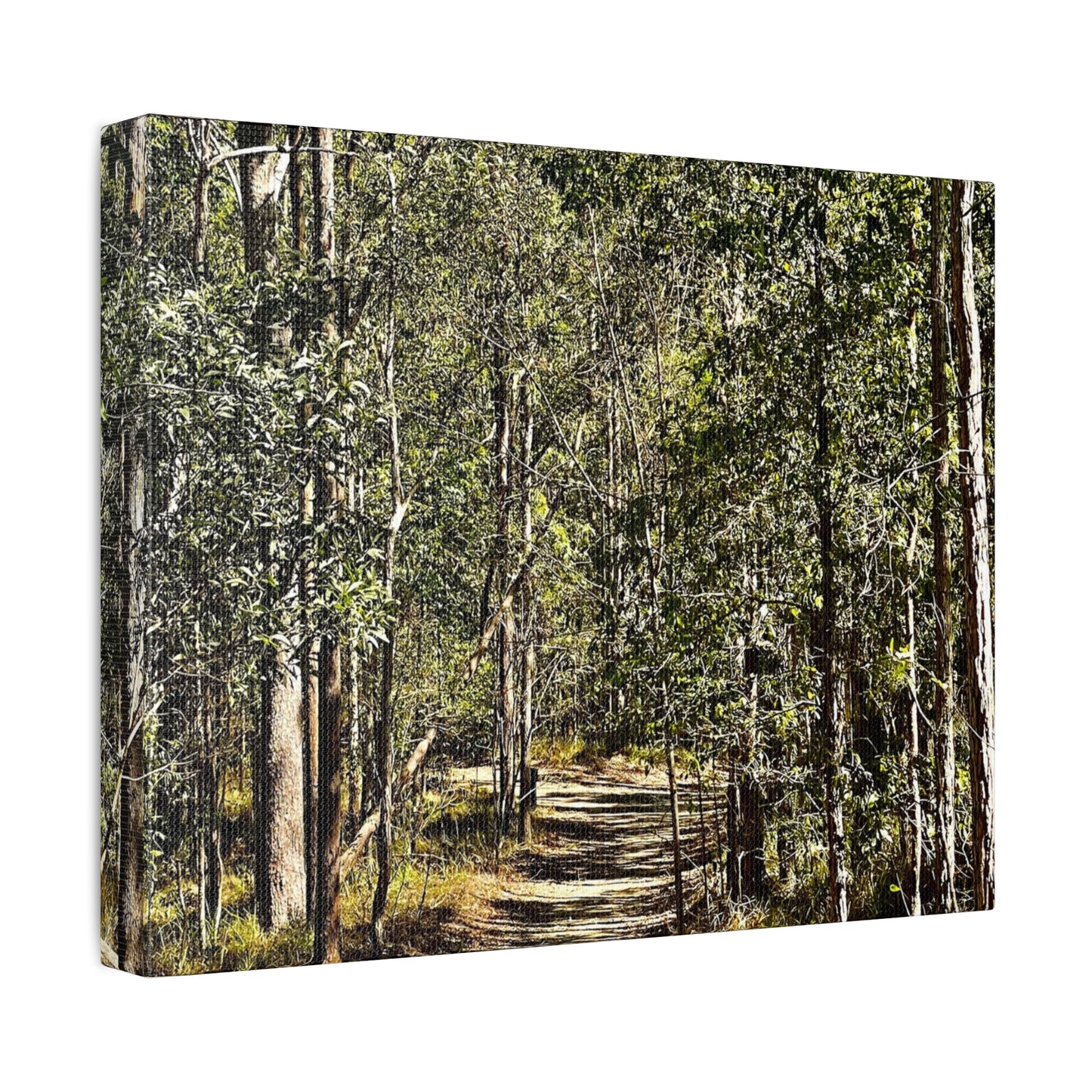 Forest Walk Print on Canvas on Stretched Canvas