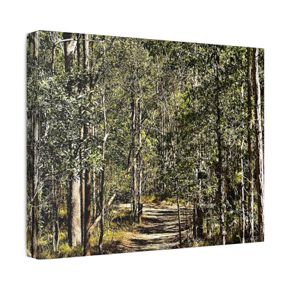 Forest Walk Print on Canvas on Stretched Canvas