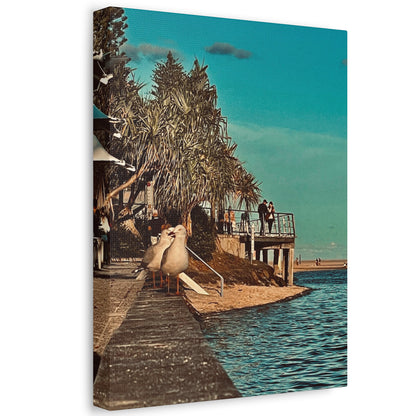 Serious Seagull Print on Canvas on Stretched Canvas