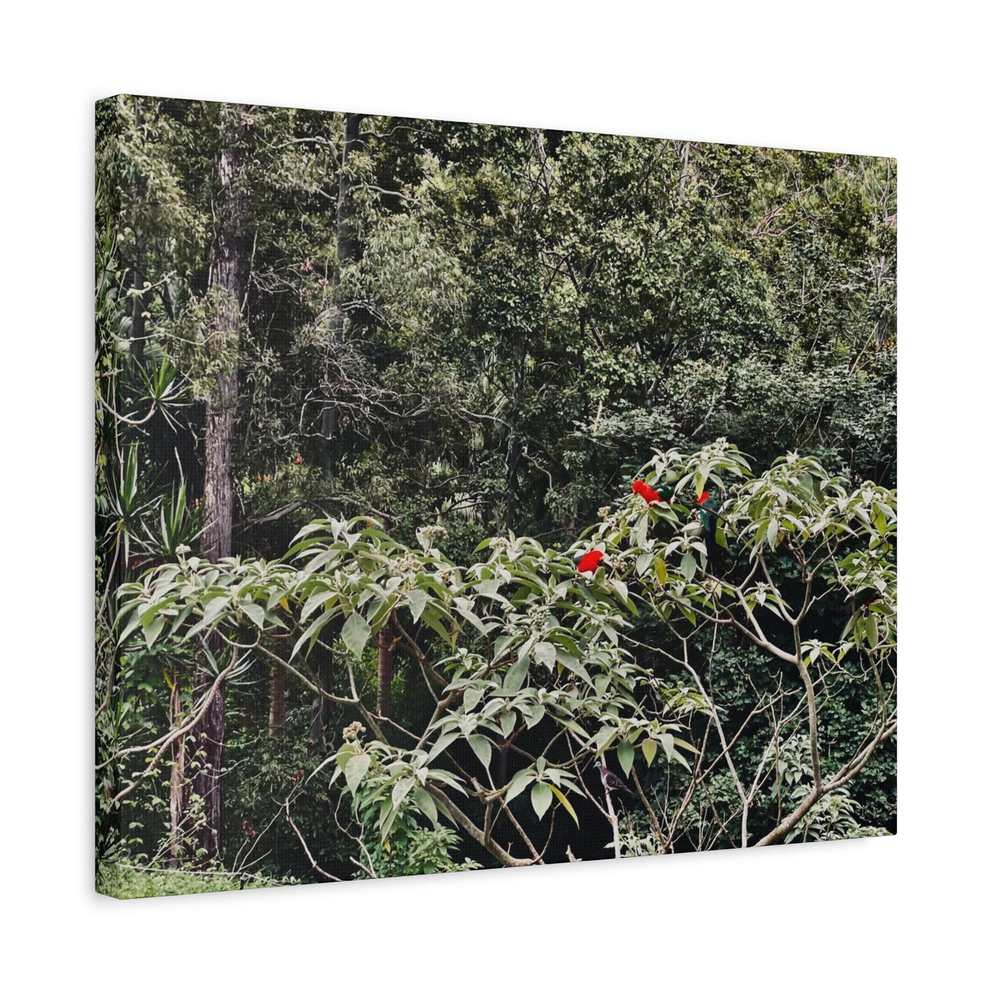 Forest Birds Mountains Prints on Canvas