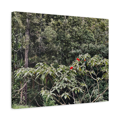Forest Birds Mountains Prints on Canvas