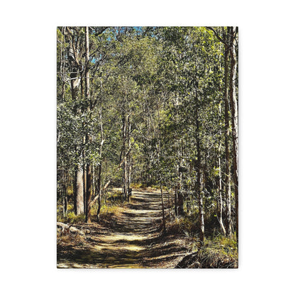 Forest Walk Print on Canvas on Stretched Canvas