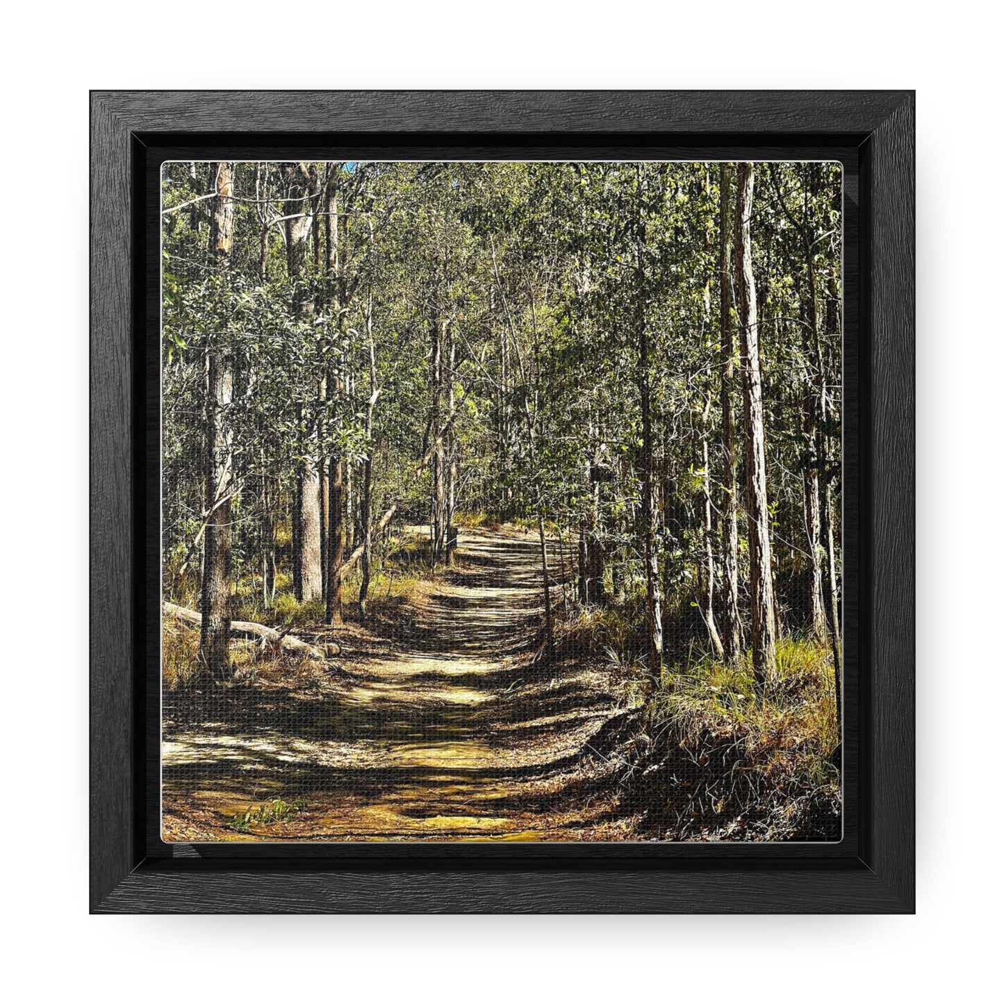 Forest Walk Prints on Canvas, Square Frame