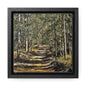 Forest Walk Prints on Canvas, Square Frame